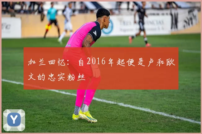 加兰回忆：自2016年起便是卢和欧文的忠实粉丝