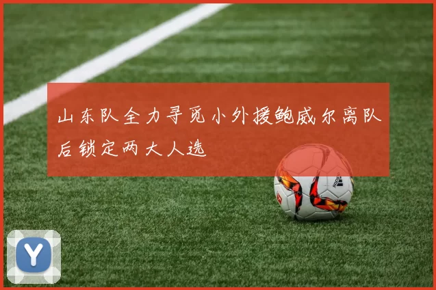 山东队全力寻觅小外援鲍威尔离队后锁定两大人选